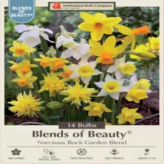 Rockgarden Narcissus Mix 14 Bulbs - 12/14 cm Bulbs