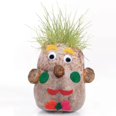EduCraft&reg; Grass Hair Planters Craft Kit (Pack of 24)