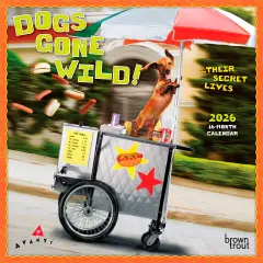 Avanti Dogs Gone Wild OFFICIAL | 2026 7 x 14 Inch (Hanging) Monthly Mini Wall Calendar