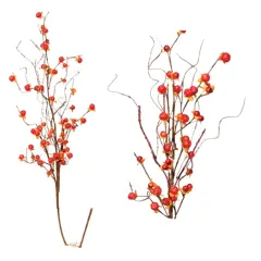 Bittersweet Spray, 31"