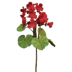 Red Burlap Geranium Bush