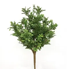 19" High Heritage Dark Green Boxwood Bush with Flexible Brown Stem
