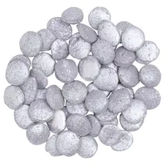 Silver Confetti Quins 4oz