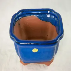 6" Rectangular Dark Blue Shohin Bonsai/Succulent Pot + Tray + Rock + Mesh Combo