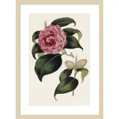 Pink Floral Mix III by Bette Ridgeway Wood Framed Wall Art Print