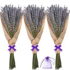 Dried Lavender Flowers Bundles, Natural Dry Lavender Flowers 220-240 Stems 16'' for Vase Home Wedding Party Decoration Arrangements Fragrance 3 Bundles