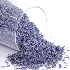 4 Cups Lavender in Small Glass Bottle, Highland Dried Lavender Flower Buds