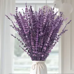 Dried Purple Lavender Flowers Bundle-Dried Preserved Lavender Bouquet 15-17" for Shower Weeding Home Vase Decor, Crafts, Aromatherapy, Fragrance, Fresh Silk Dry Live Plants, 50g(1.76oz)