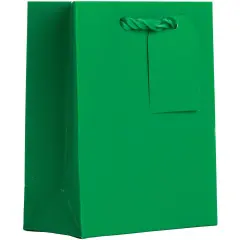 Pack/6: Matte Green Gift Bag - 6 x 3 x 7-1/2"