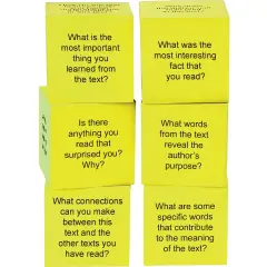 Foam Nonfiction Comprehension Cubes