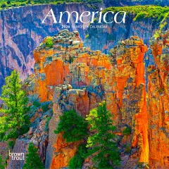 America | 2026 7 x 14 Inch (Hanging) Monthly Mini Wall Calendar