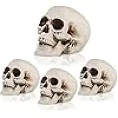 Skull Heads Halloween Decor Include Life Size Skeleton and Small Plastic Skulls