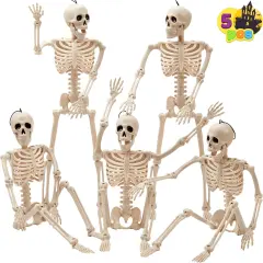 5 PCS Posable Halloween Skeleton Decor 16 Inches