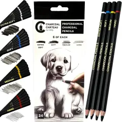 24 Charcoal Pencils - Four Professional Hardness Levels - Perfect for Rich Shading, Sketching, Drawing & Art (24PCs)