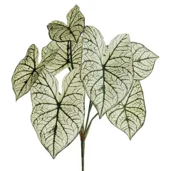 Allstate Two-Tone Caladium Leaf Artificial Spray - 23" - Green