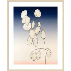 Money Plant II by Michael Willett Wood Framed Wall Art Print