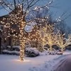 Color Changing Christmas Light