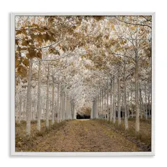 White Gold Birch Grove Framed Giclee Art