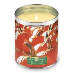 Collections Etc Autumn Pumpkin Patch Scented Candle, 12 oz.