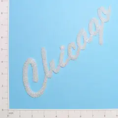 Chicago Beaded Applique/Patch