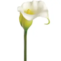 3PC 27" White Calla Lily - Realistic Faux Flower
