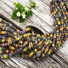 5/0 Aged Matte Neo Guardian Striped Picasso Mix Seed Beads (21" Strand)