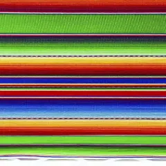 1 Yard Multicolor Mexican Serape Graduation Stole Sash Woven Handmade Fabric with Fringe 5 Inch Width Lime