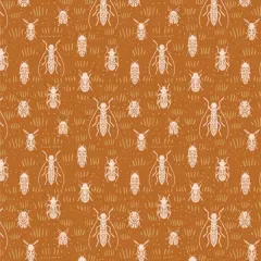 Beetle Parade in Sun (coh18904) | Coyote Hill | Katie O'Shea | Art Gallery