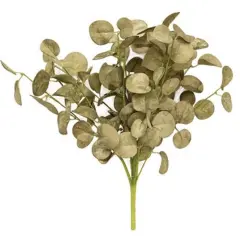 12" Long Foamy Silver Dollar Bush with Sage Finish