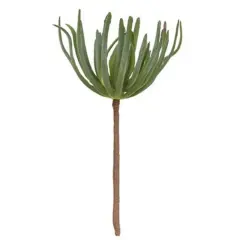 Palm Succulent Green with Brown Paper-Wrapped Wire Stem