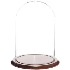Plymor 9.75" x 15" Glass Display Dome Cloche Walnut