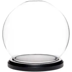 Plymor 5" x 6" Glass Display Dome Globe Cloche (Black MDF Wood Base)