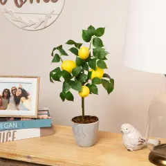 Northlight Artificial Potted Mini Lemon Tabletop Tree - 20" Yellow