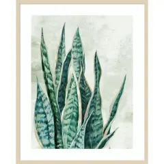 Reaching Snake Plant by PI Studio Wood Framed Wall Art Print