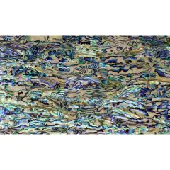 Shell Veneer, 5.5 x 9.5 inches | WMOP, BMOP, Abalone | Includes 3M Adhesive Sheet for Application, Great for Inlay Projects Natural Light