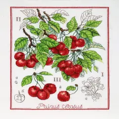Botanical Battle - CherryCounted cross stitch kit 1274A