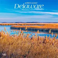 Delaware Wild & Scenic | 2026 12 x 24 Inch (Hanging) Monthly Square Wall Calendar | Plastic-Free