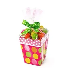 Pack/25: Clear Cello Bag - 5 x 3 x 11.5" (1.32 mil)