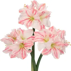 3PCS Amaryllis Artificial Flowers 17.3 Inch Faux Amaryllis Lily Flowers Stems with 4 Heads Silk Floral Bouquet for Spring Home Room Table Centerpiece Wedding Party Arrangements(Pale Pink)