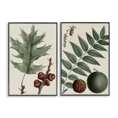 Stupell Industries Tree Leaves & Nuts 2pc Framed Giclee Wall Art Set Design by Graffi*tee Studios