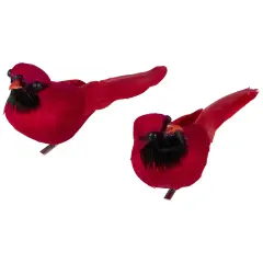 Northlight Cardinal Birds Clip-On Christmas Ornaments - 6" - Red - Set of 2