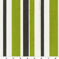 Off-White/Lime Printed Stripe Canvas Decor Fabric By the Yard