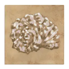 Stupell Industries Earthy Tone Seashell Canvas, design by June Erica Vess