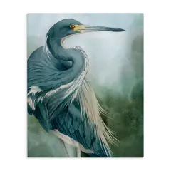 Stupell Industries Bayou King Bird Canvas, design by Grace Popp