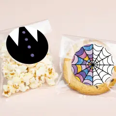 Big Dot of Happiness Goth Girl & Spider Web Stained Glass Window Stickers and Clear Cookie Bags, Cellophane Bags 4.25x7 Inches, Party Favor Gift 25 Ct