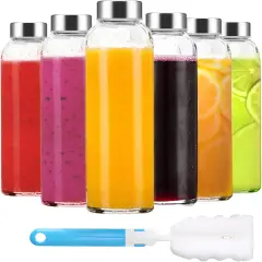 Reusable Glass Water Bottles with Stainless Steel Cap for Juicing