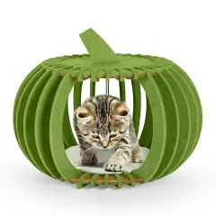 Portable & Collapsible Bed for Cats Dogs, Ideal Gift for Cat Dogs Lovers & Halloween Decor Green
