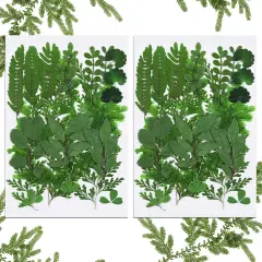 42 Pieces Dried Pressed Leaves for Resin