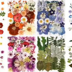 110+PCS Pressed Flowers for Resin - Colorful C