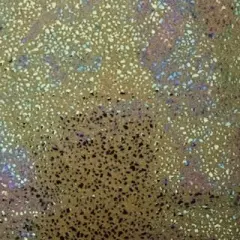 1 Yard Rainbow Pebble Nylon Spandex Fabric 58/60 Inch Width 80% Nylon and 20% Spandex Gold